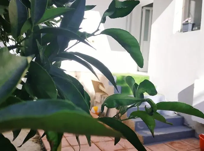 Lägenhet Poseidonia 75sqm Canal *